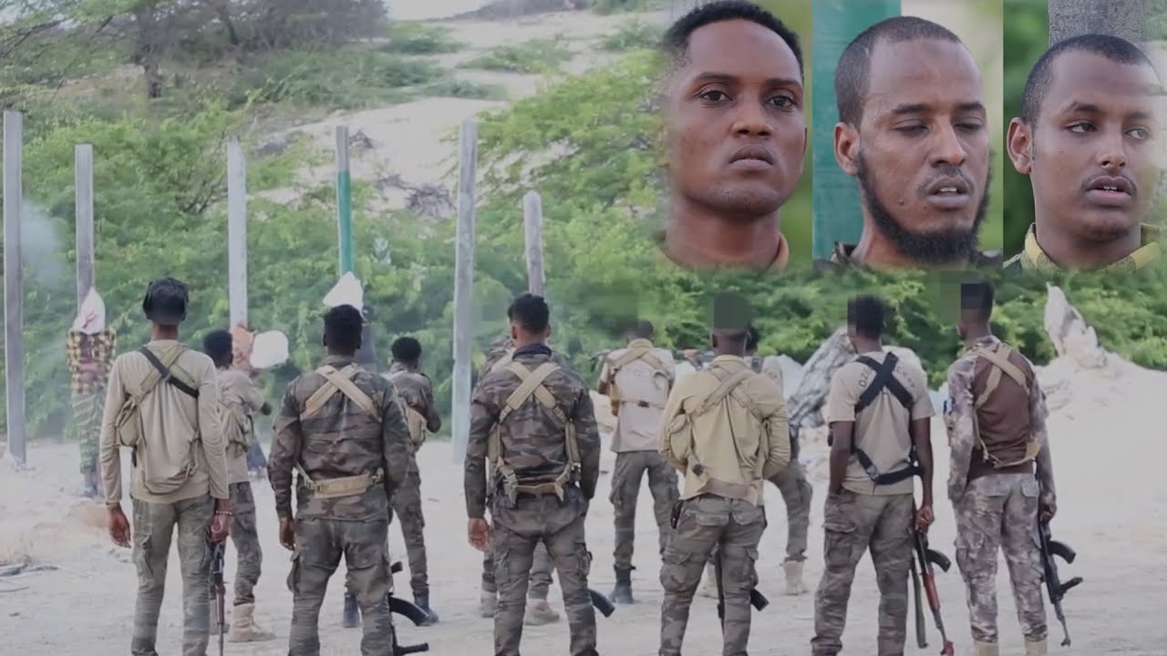 DEG DEG: Shuute dil toogasho Ah ku fuliye 3 dhagar qabe oo ka tirsanaa Alshabaab