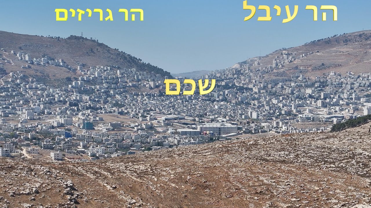 סובב שכם אלי גדיאל