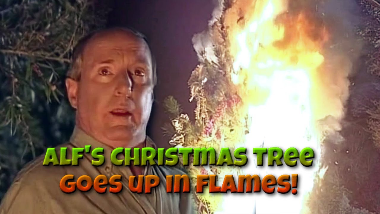 Alf's Tree Explodes! - 1994 - Home and Away