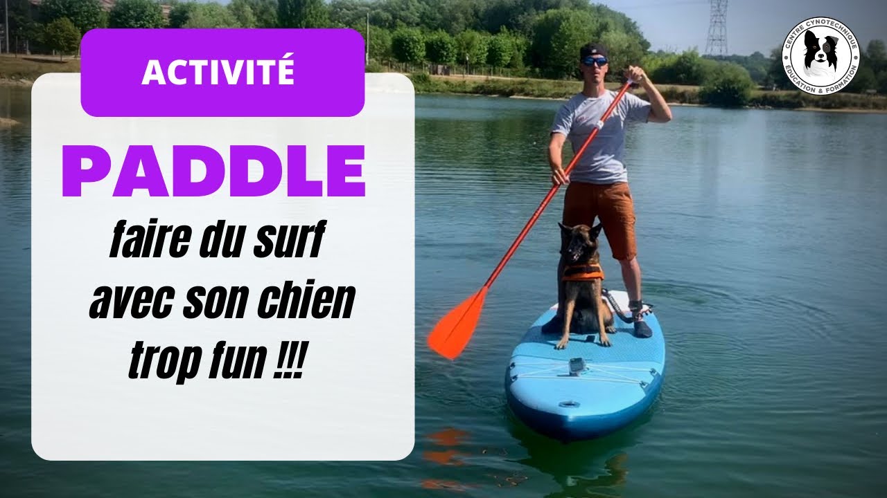 J'APPRENDS À FAIRE DU PADDLE AVEC MON CHIEN !!!! ( je fini à l’eau...)