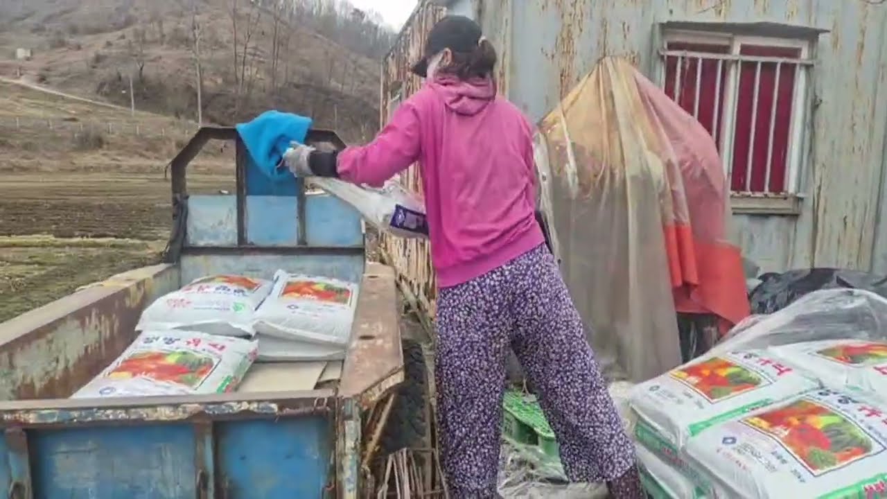 여자청년농부 밭에서 수동 경운기 시동걸기 2차 🔥도전 실시간 놓치면 못보세요‼️3월시작👋