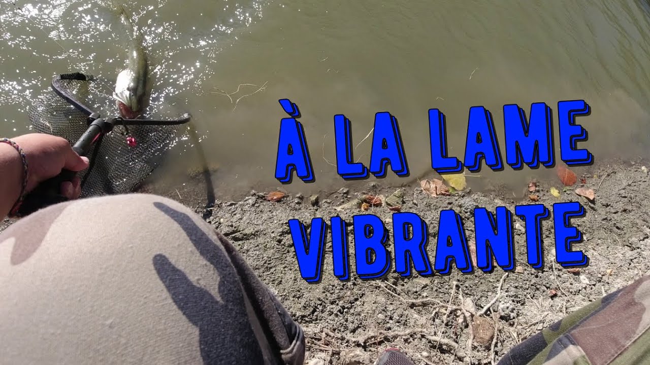 61cm à la lame vibrante