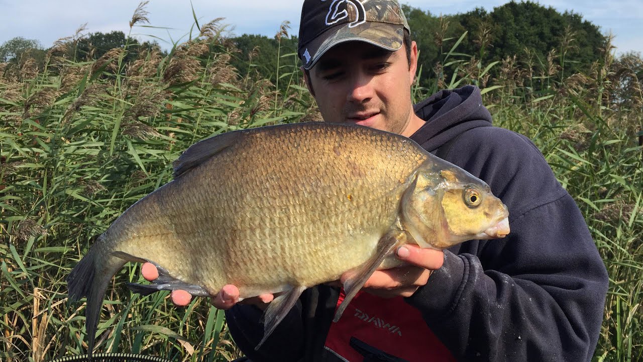 Feeder Fishing For Bream On Stillwaters