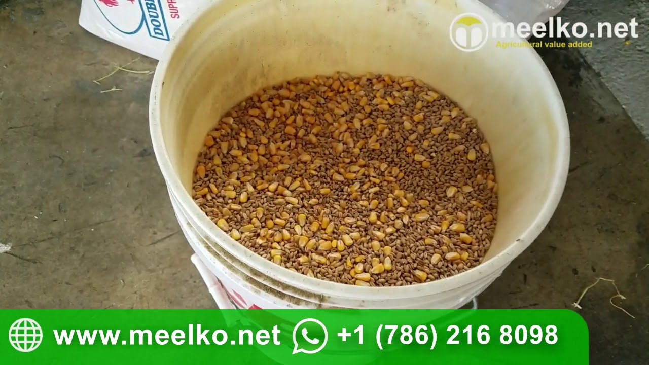MEELKO MKHM500C Hammer Mill