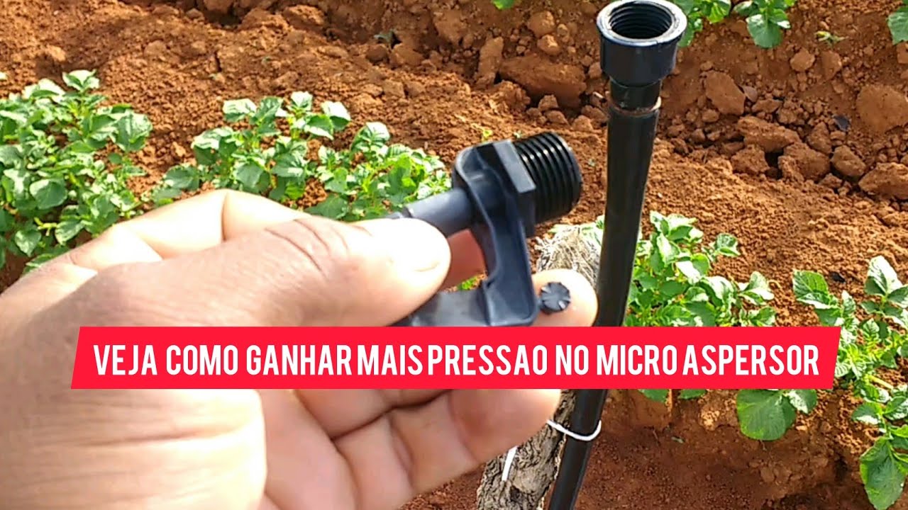 Veja como é feito a nossa irrigação