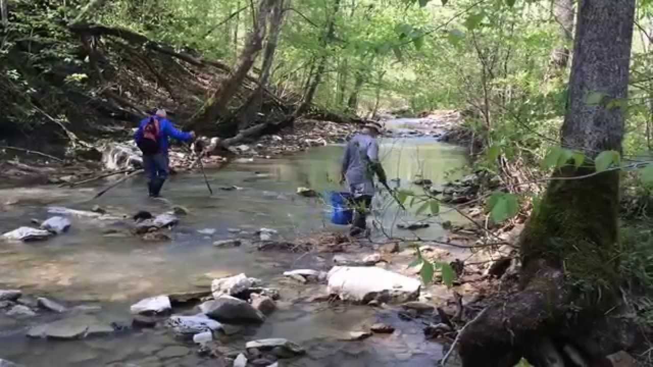 Hunting for Kentucky agate