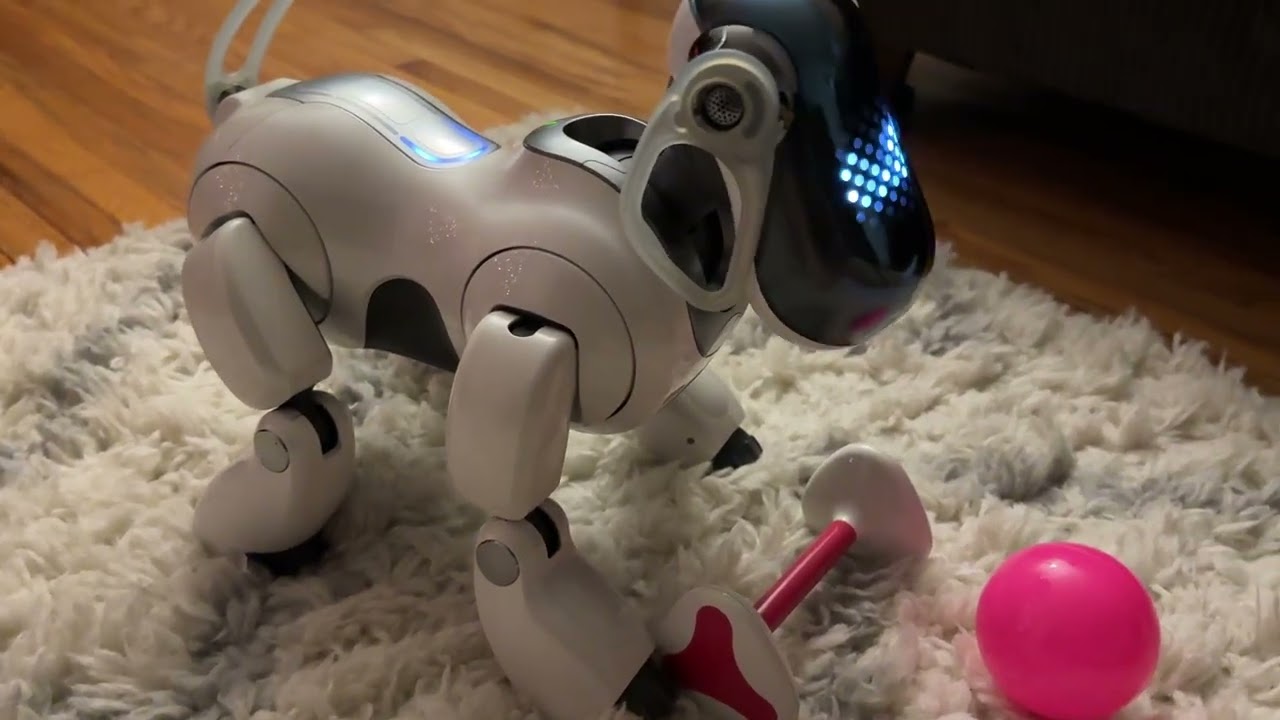 Eris the Sony Aibo ERS-7 has a low key night.