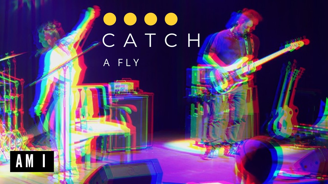 Catch A Fly - Am I Live
