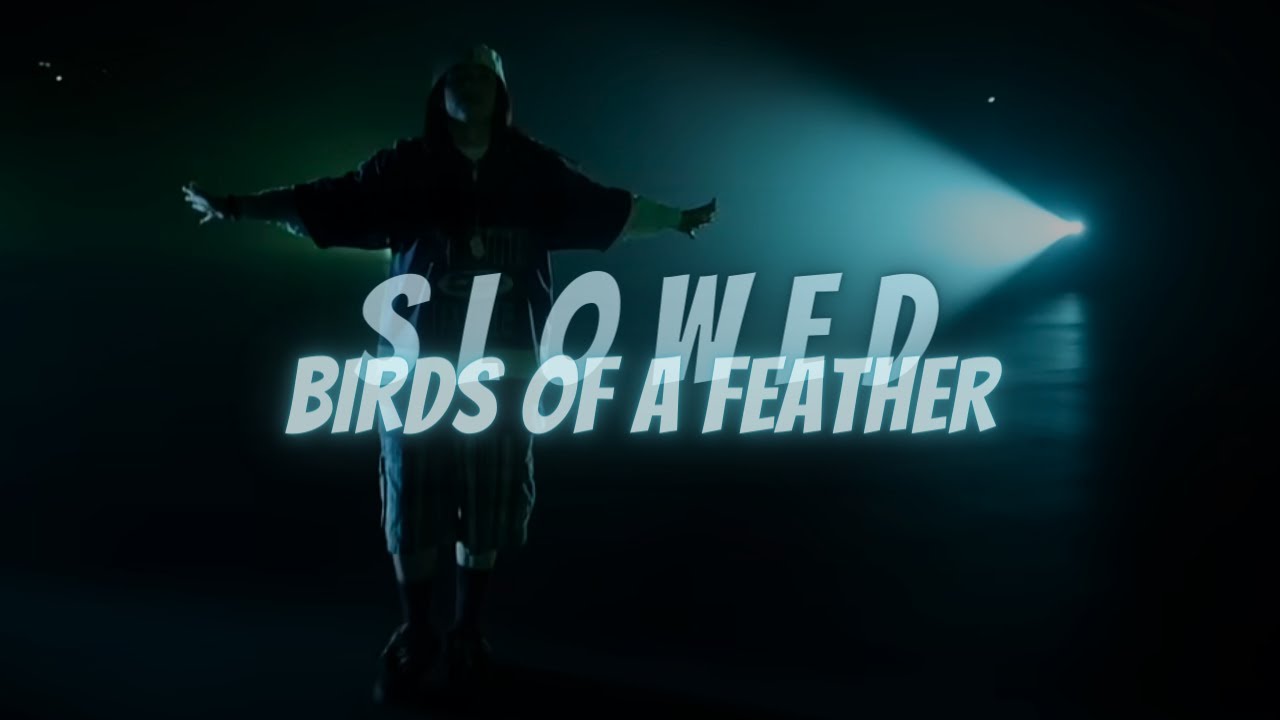 Billie Eilish - BIRDS OF A FEATHER (super slowed)