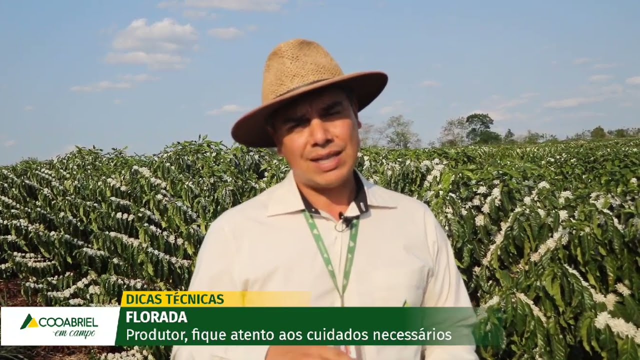 Dicas Técnicas: Florada