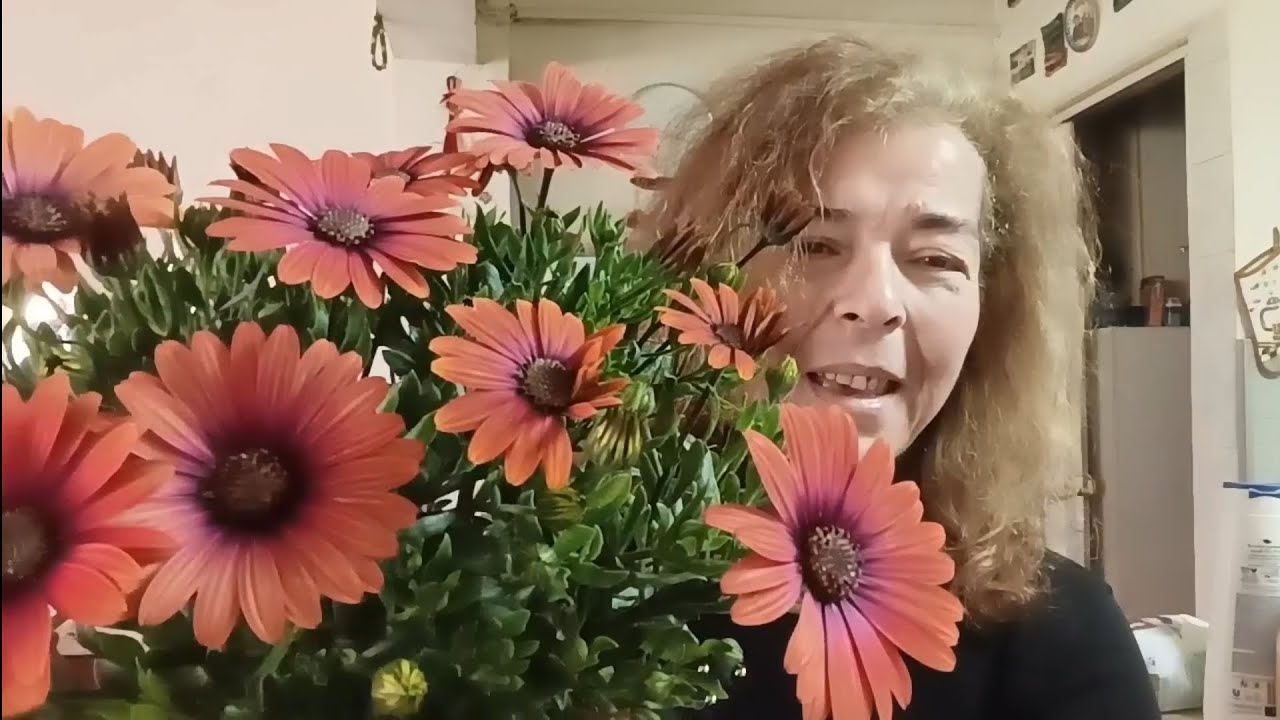 Έφτιαξα Μπουρεκάκια με Τυρί και Πατάτα + Supermarket Haul + Κηπουρική! 🌺
