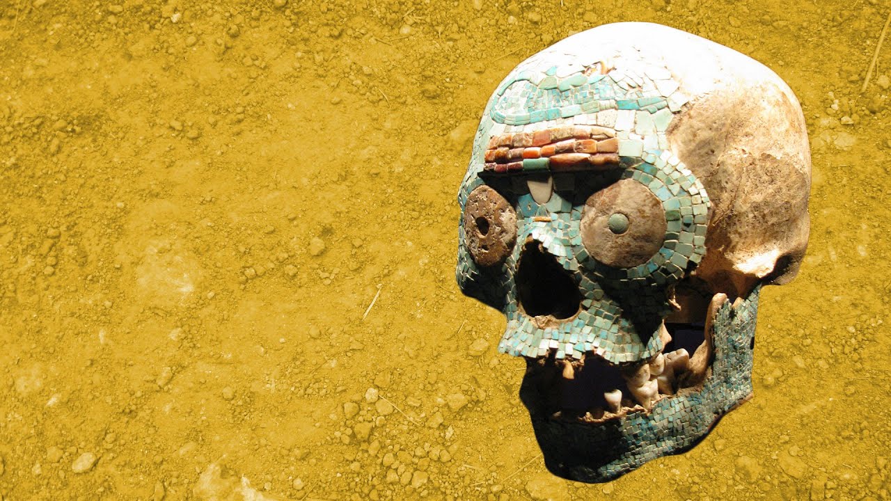 The Archaeology of Disease Documented in Skeletons - Professor Charlotte Roberts