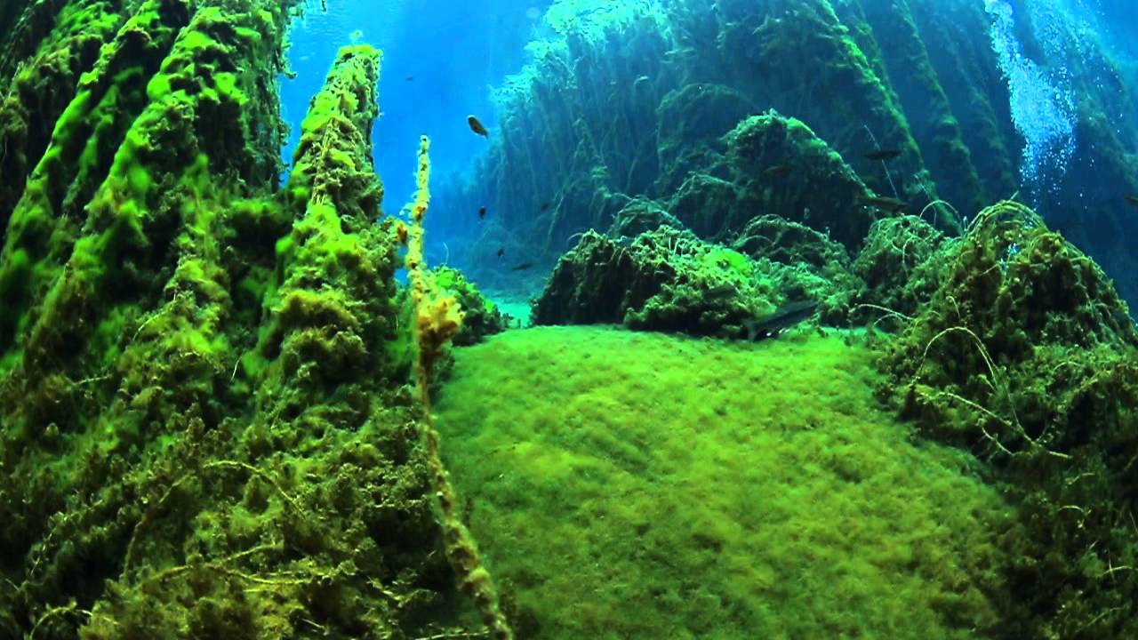 SİVAS - GÜRÜN, GÖKPINAR GÖLÜ SUALTI GÖRÜNTÜLERİ
