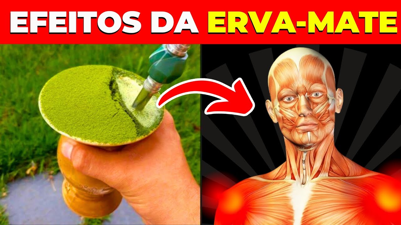 7 Efeitos da ERVA MATE no Seu Corpo | Assista Antes Que Seja Tarde!
