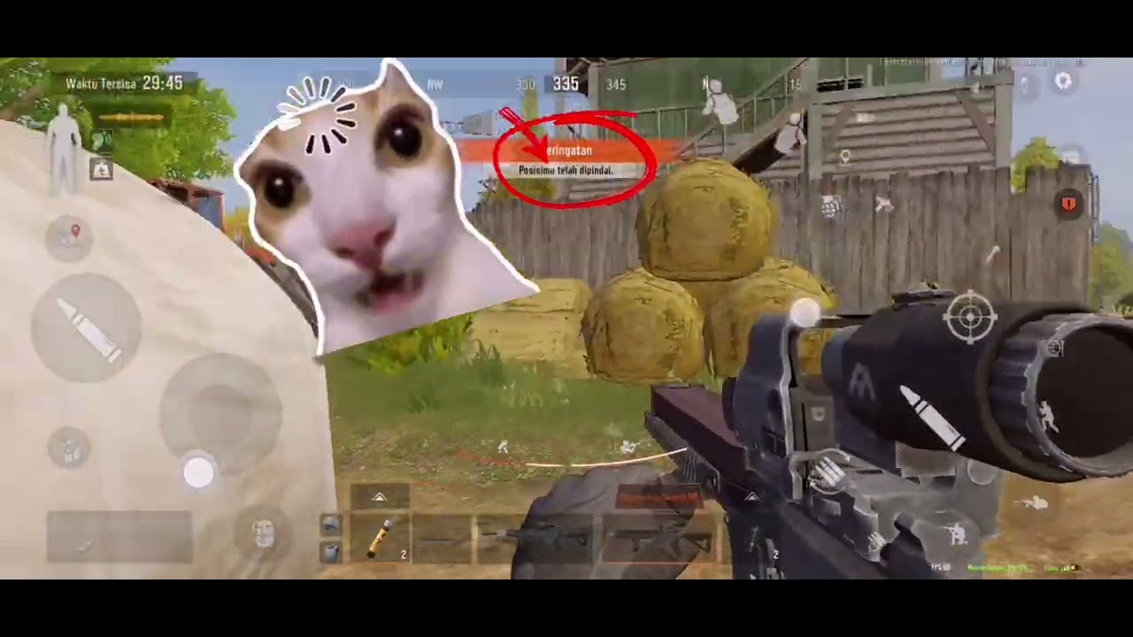 Ar the Best weapon