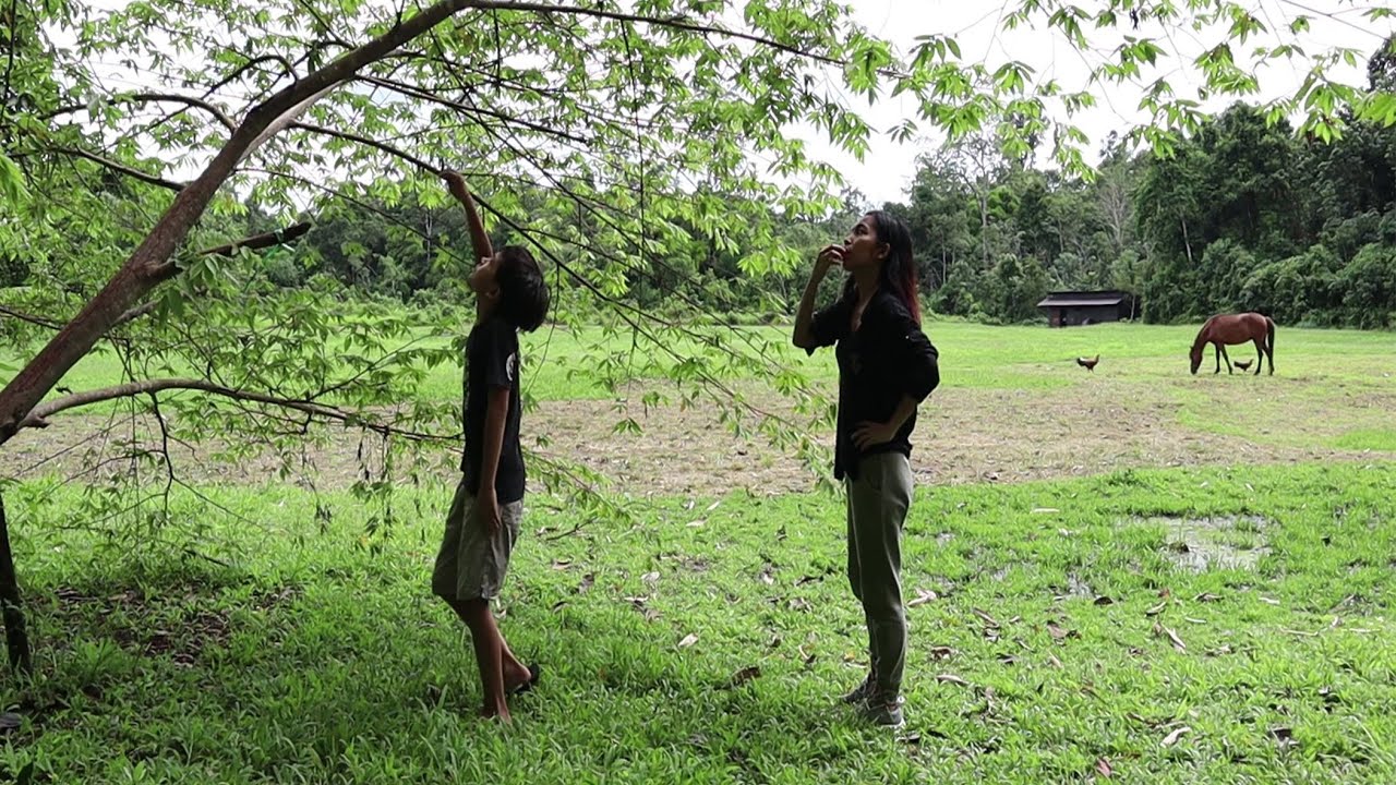 MASAK SAMBAL TERONG PIPIT dan CARI AIR MINUM DI HUTAN