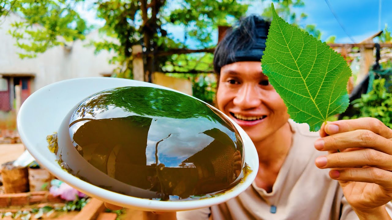 LÀM THẠCH TỪ LÁ DÂU TẰM - KaTu Nguyễn