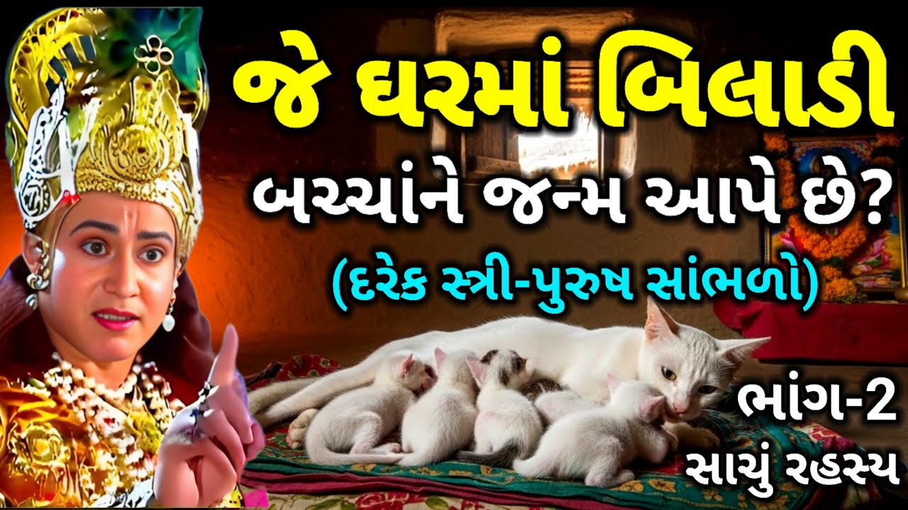 જે ઘરમાં બિલાડી બચ્ચાને જન્મ આપે છે? તેમની સાથે શું થાય છે? | Vastu Shastra ભાંગ -2