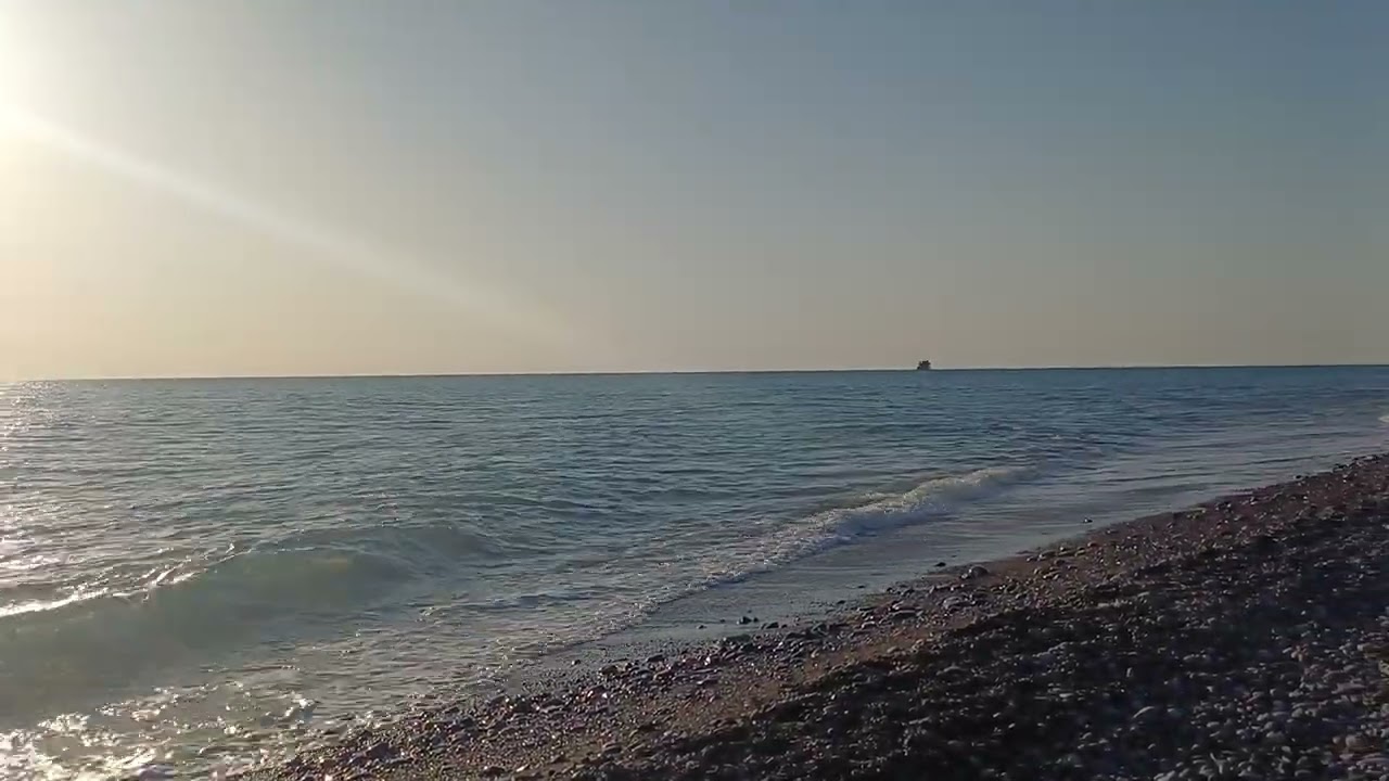 12 марта 2026 г.