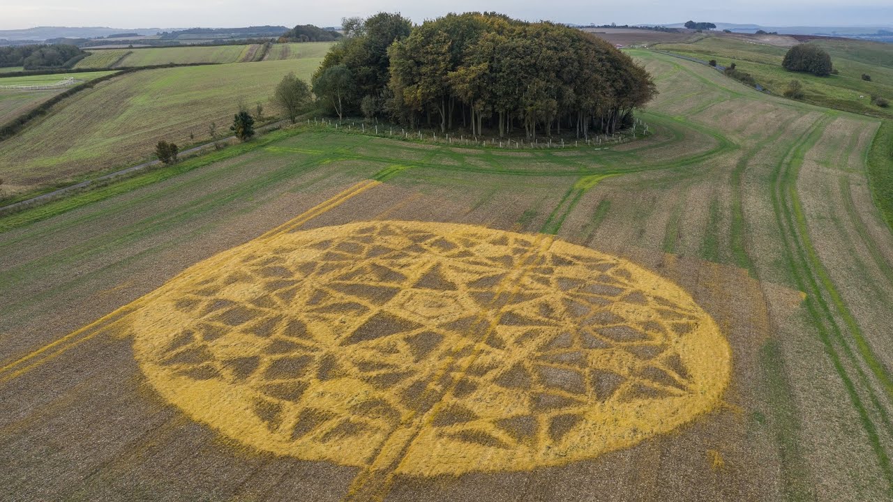 Hackpen Hill Crop Circle Ghost Goes Yellow