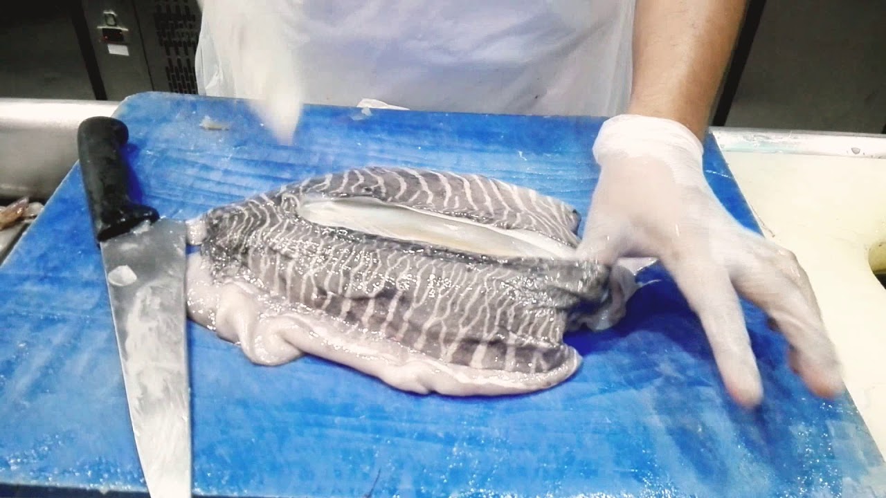 Cuttlefish how to  cleaning vary fast😮