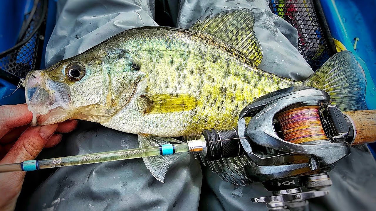 Crappie BFS Fishing using the Sheng He Xiaoju XUL Glass Rod On the Water Review Shimano Aldebaran