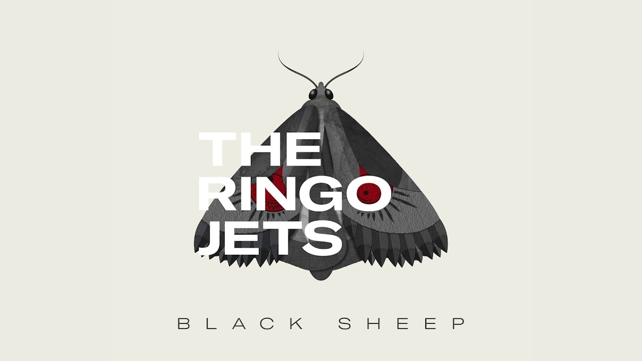 The Ringo Jets - Black Sheep (Official Audio)