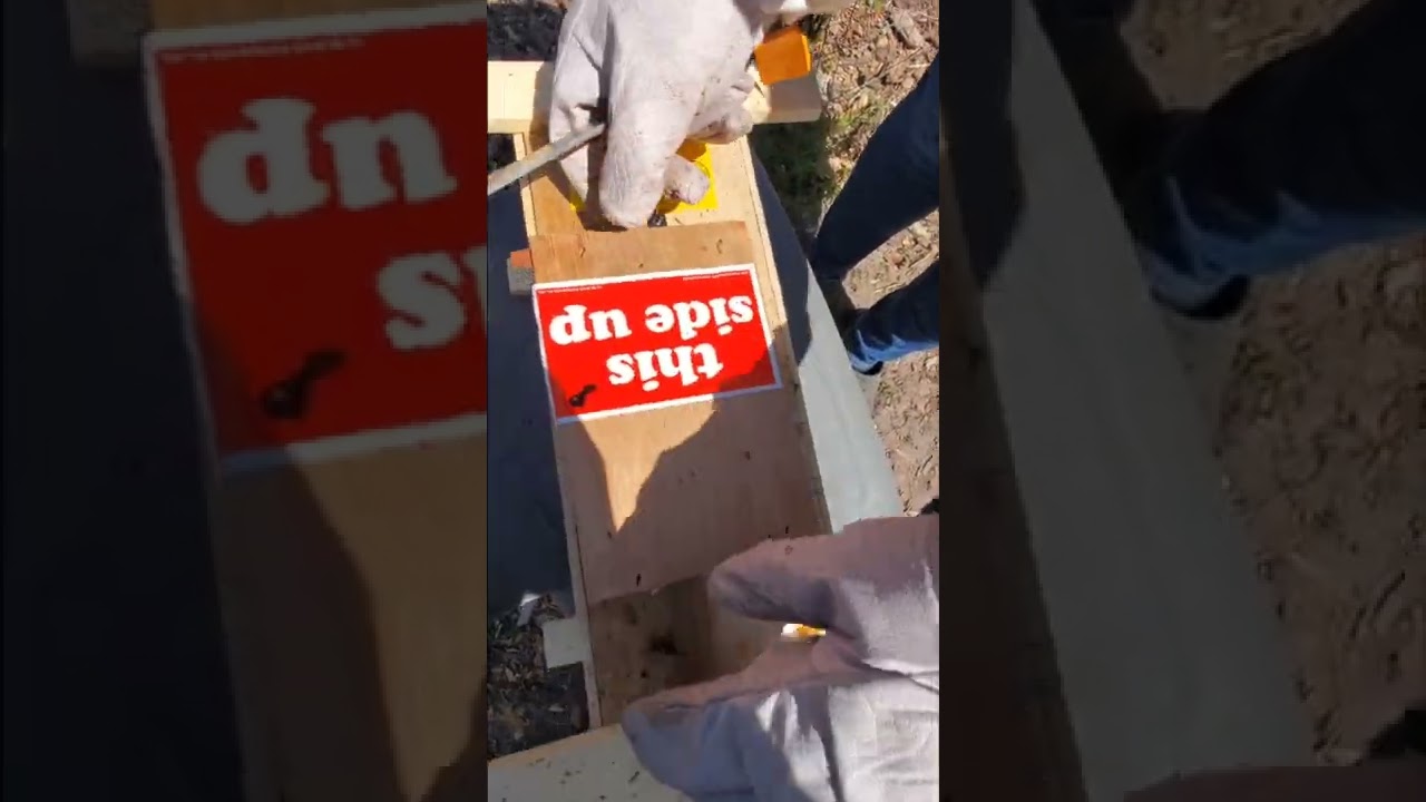 How to install a Bee Package