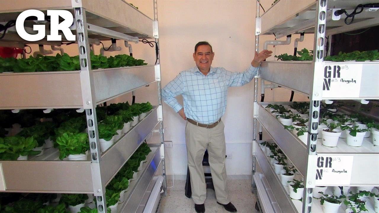 Innovan con agricultura vertical | Vida