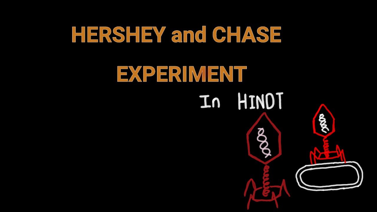 Hershey and  Chase  Experiment    ( in Hindi )