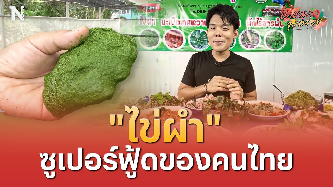 EP.11 “ไข่ผำ” บ้านสวนหนูดี ที่นครนายก | ปักหมุดจุดอร่อย | NationTV22