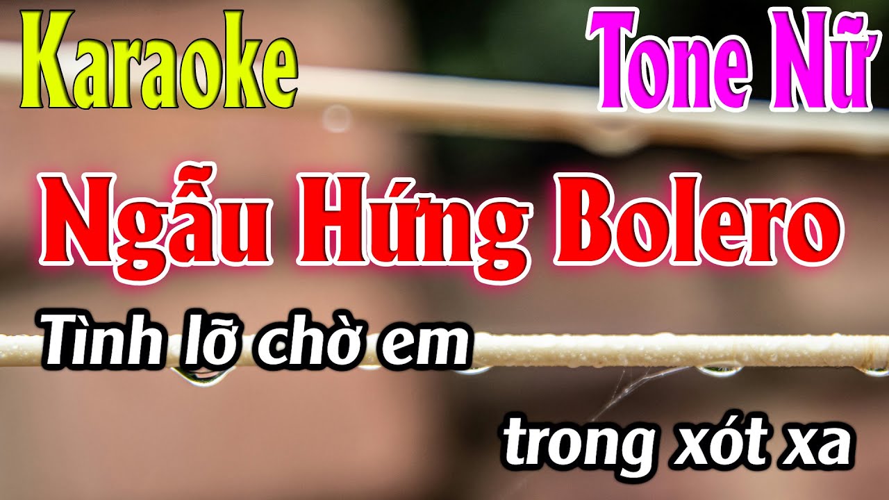 Ngẫu Hứng Bolero Karaoke Tone Nữ ( D#m ) Karaoke L&acirc;m Organ - Beat Mới