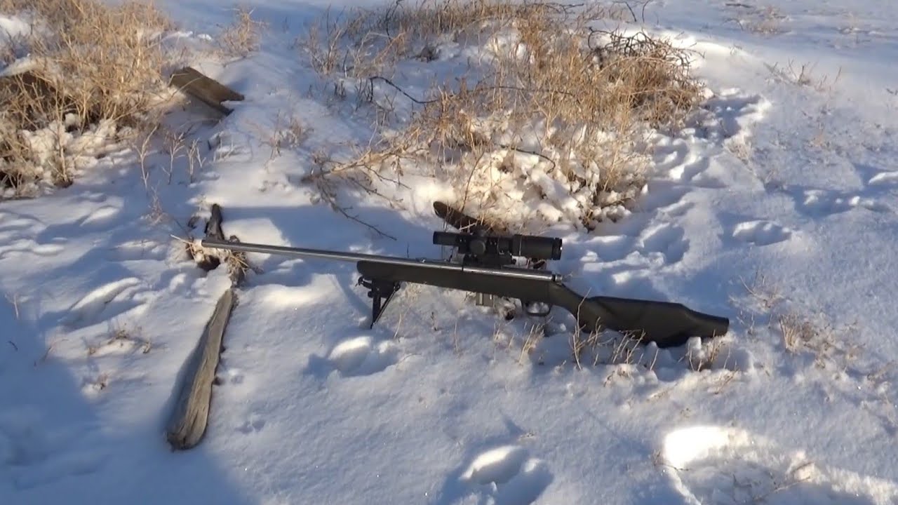 Winter Shooting: XD 5.25 & Marlin 882