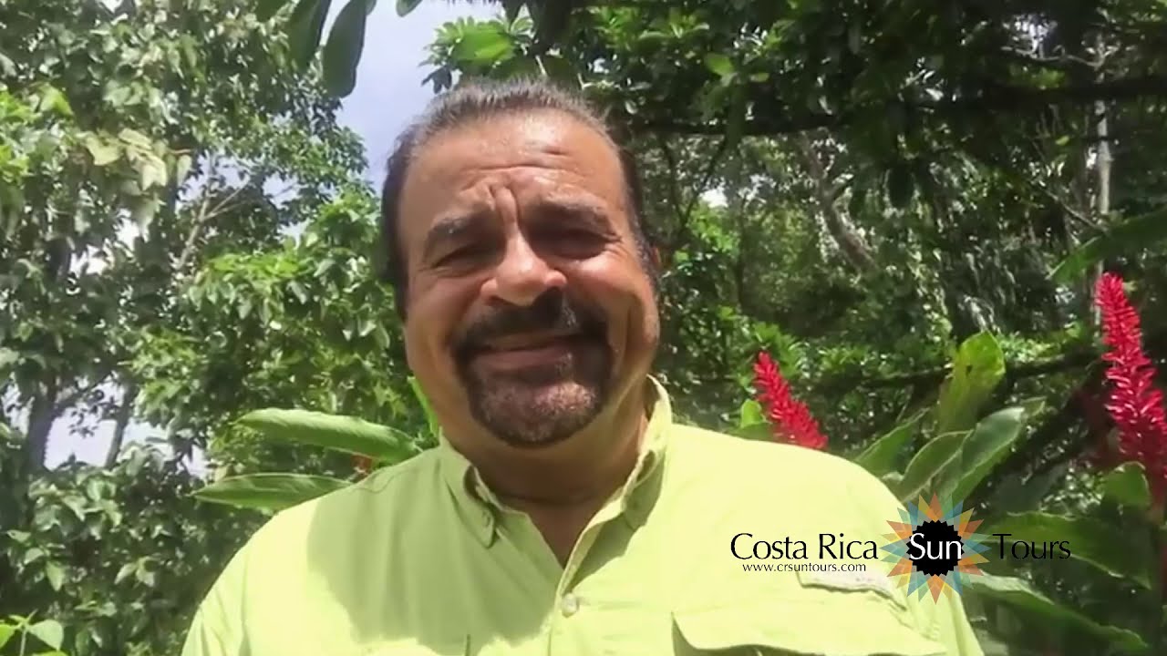 Pierella Garden With Julio Madriz
