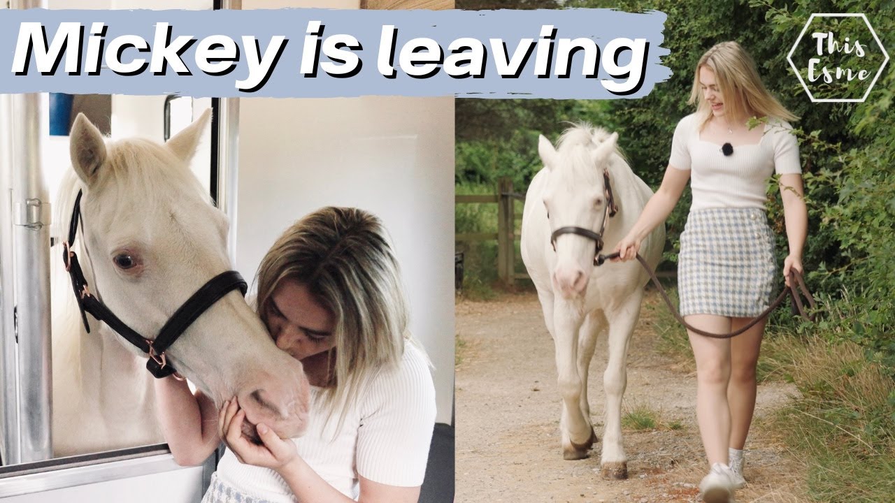 Mickey is Leaving....for the Longines International Arena! AD