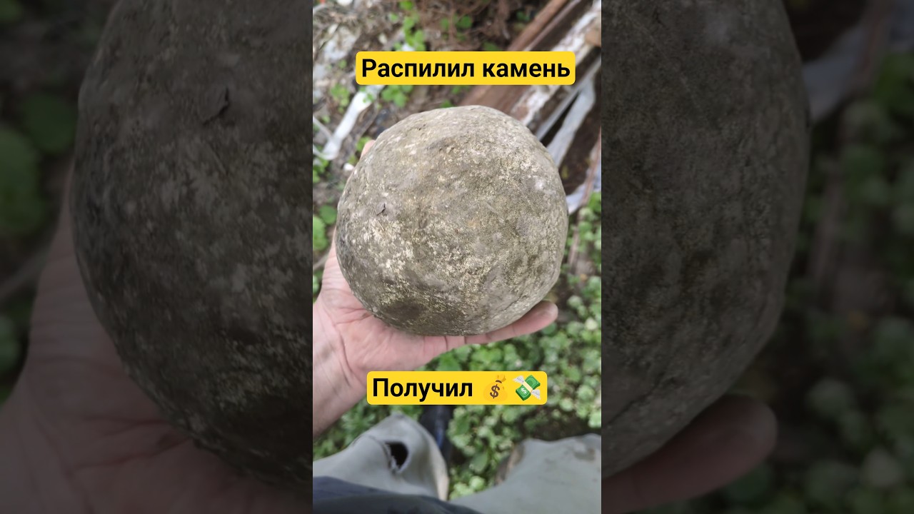 Что в себе скрывает камень? #золото #камнемания #минералы #самоцветы #драгоценности #fossils