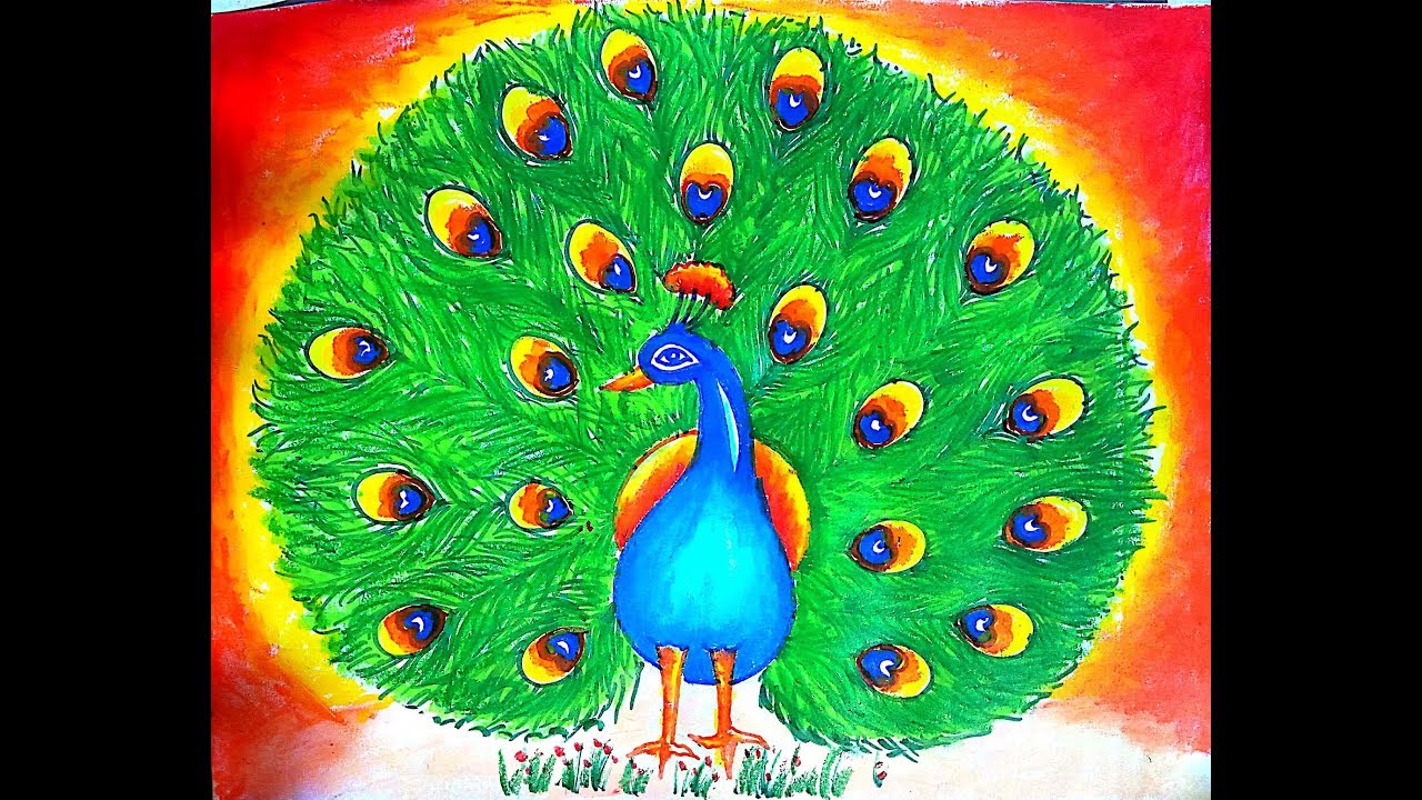 Peacock drawing - How to draw peacock / Birds / Drawing Master visuraam / Kalavum Katru Mara