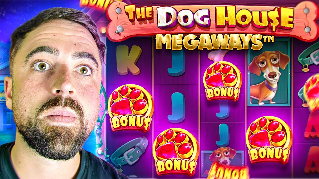 DOG HOUSE MEGAWAYS PAYS CRAZY! (Insane 4 Scatter Bonus)