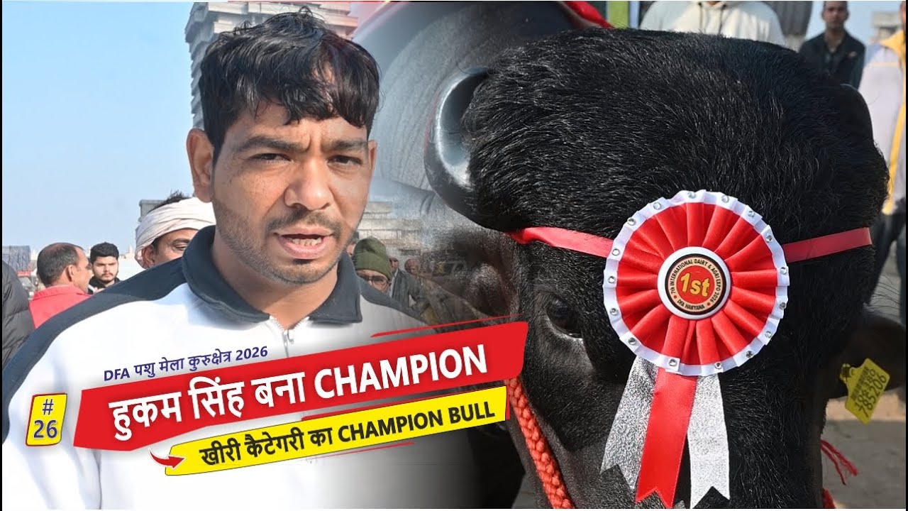 हुकम सिंह बना खीरी कैटेगरी का CHAMPION || DFA PASHU MELA KURUKSHETRA 2026