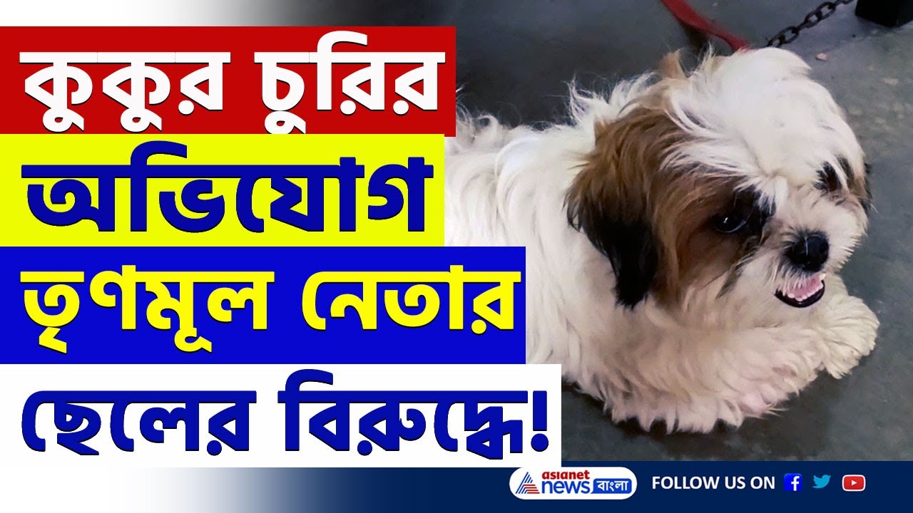 বারুইপুরে পোষ্য নিয়ে তোলপাড়! TMC নেতার ছেলের বিরুদ্ধে কুকুর চুরির অভিযোগ | Baruipur Dog Stolen News