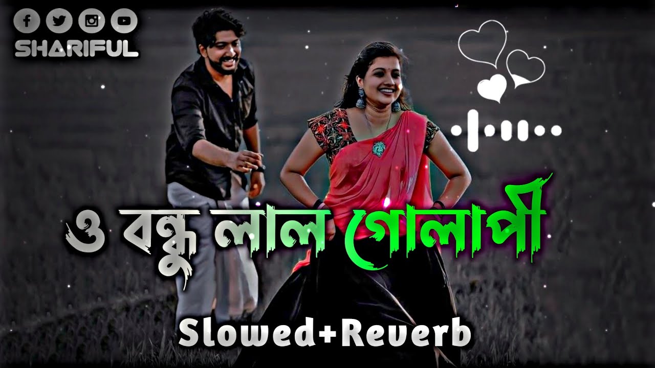 ও বন্ধু লাল গোলাপি Lo-fi || (Slowed Reverb) Song Bangladesh|| #lofi #banglalofi #remix 