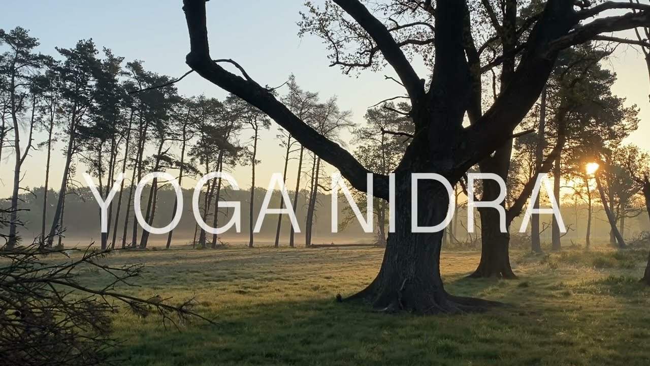 Yoga Nidra | Tiefenentspannung | 20 Minuten