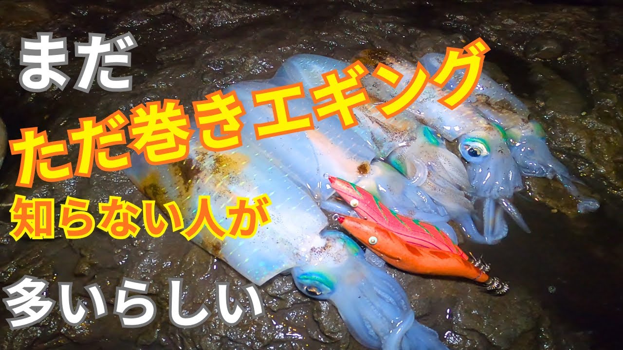 エギング編：昔の人はこうやって釣ってた。釣果をアップさせることができるかも！