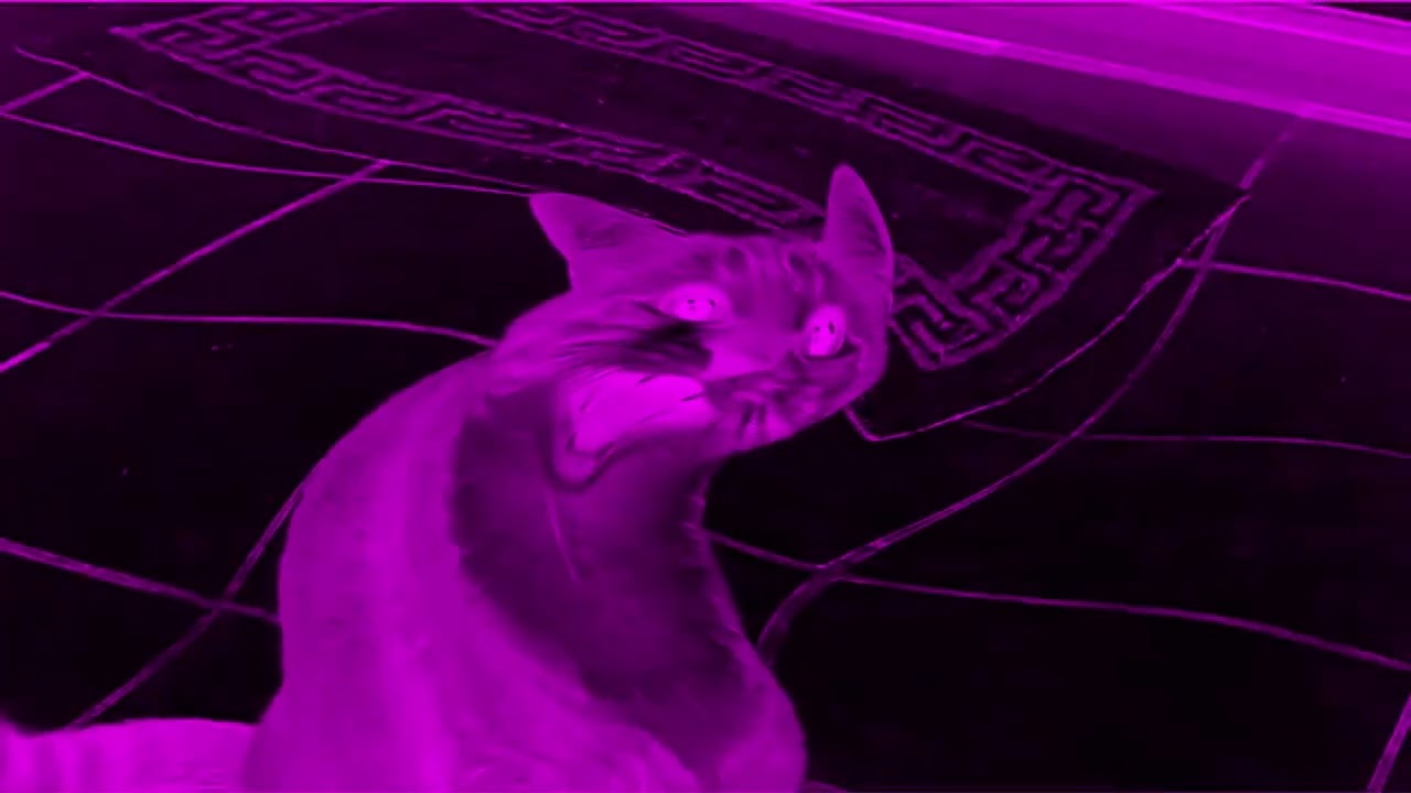 Shortest Video on YouTube Effects (Preview 2MABAL Effects) Reversed