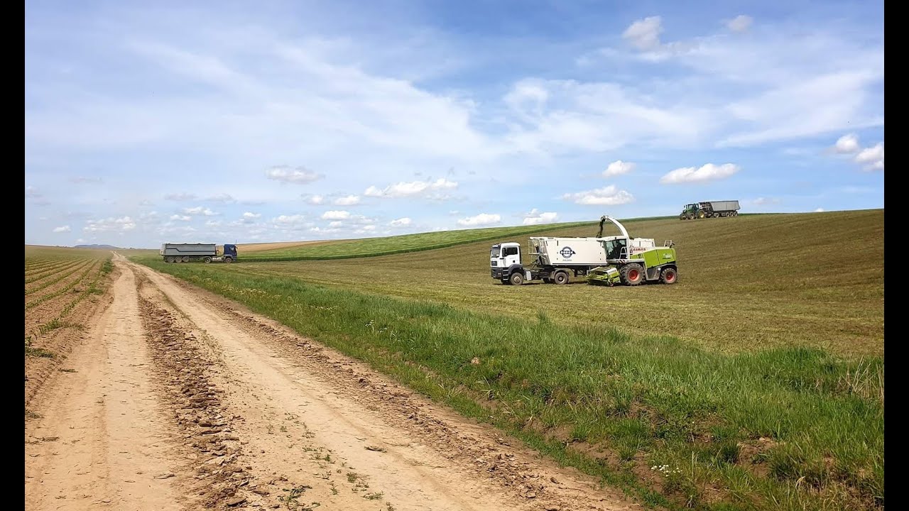 Borjádi Zrt. Claas Jaguar 850, JD 6250R, 3x MAN, JCB, Kramer Silage 2019