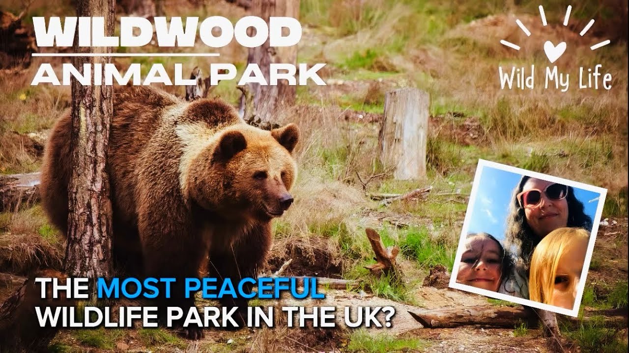 Wildwood Animal Park, Kent 2025