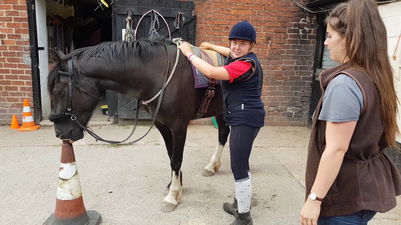 Instinctive Horse Training. Backing Young Piper pony with a target stationing point.