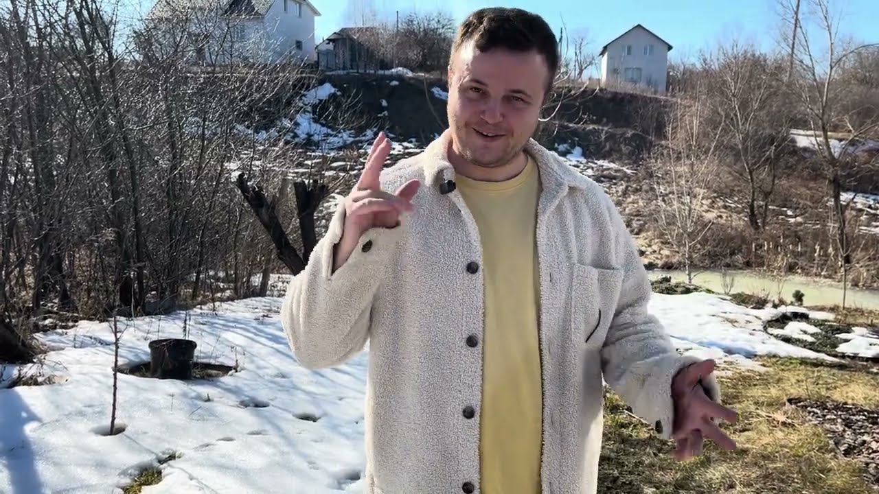 Обрізка волотистих гортензій. Наш досвід