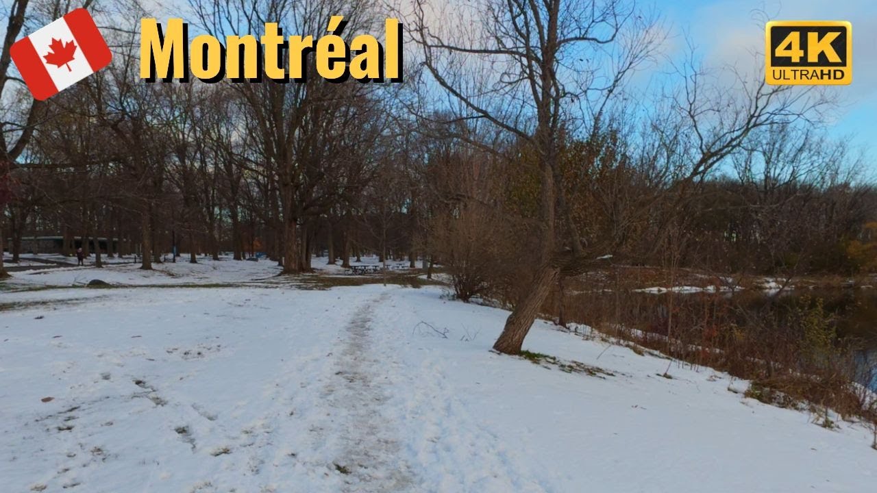 Peaceful Walk in a Snowy Park | Crunchy Snow Sounds 4K ❄️