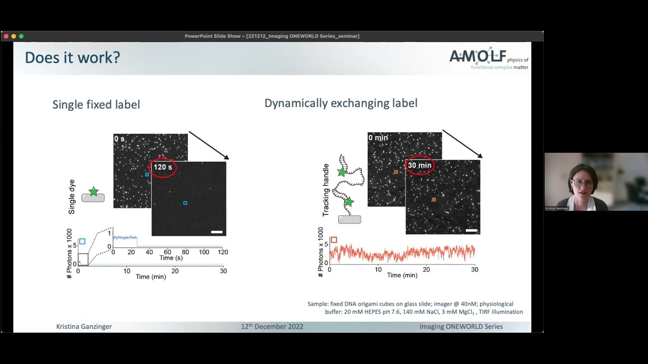 Kristina Ganzinger - DNA-PAINT single-particle tracking - Imaging ONEWORLD